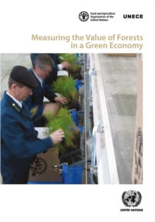 Image for Measuring the value of forests in a green economy