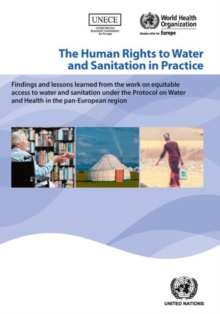 Image for The human rights to water and sanitation in practice