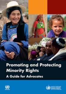 Promoting and protecting minority rights