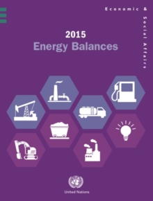 Image for 2015 Energy Balances
