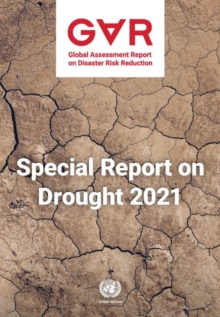 GLOBAL ASSESSMENT REPORT ON DISASTER RIS
