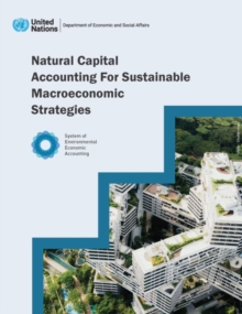 Image for Natural capital accounting for sustainable macroeconomic strategies