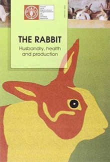 Image for The Rabbit, The