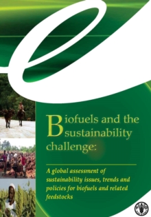Biofuels and the Sustainability Challenge