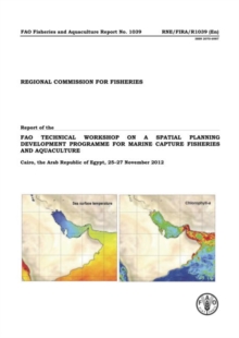 Report of the FAO technical workshop on a spatial planning development programme for marine capture fisheries and aquaculture