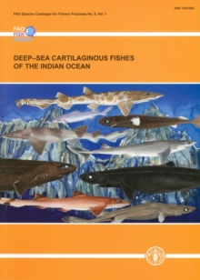 Deep-sea cartilaginous fishes of the Indian Ocean