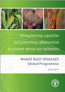 Image for Wheat Rust Diseases Global Programme 2014-2017