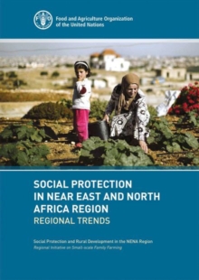 Image for Social protection in near east and north Africa region