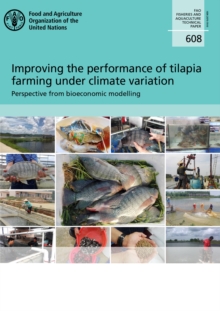 Image for Improving the performance of Tilapia