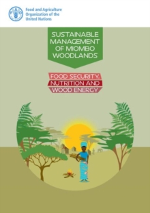 Image for Sustainable management of Miombo woodlands