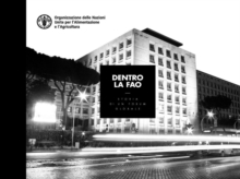 Image for Dentro la FAO : Storia di un Forum Globale