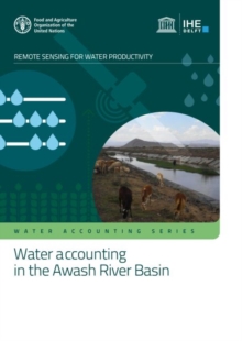 Image for Water accounting in the Awash River Basin
