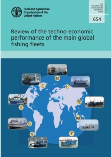 Image for Review of the techno-economic performance of the main global fishing fleets