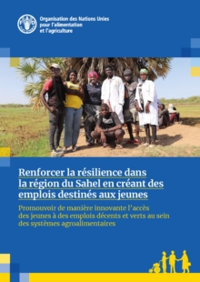 Image for Renforcer la resilience dans la region du Sahel en creant des emplois destines aux jeunes : Promouvoir de maniere innovante l'acces des jeunes a des emplois decents et verts au sein des systemes agroa