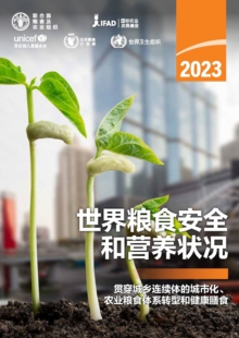 Image for The State of Food Security and Nutrition in the World 2023, Chinese Edition : Urbanization, agrifood system transformation and healthy diets across the rural–urban continuum