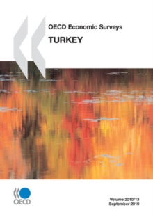 Image for OECD Economic Surveys: Turkey: 2010.
