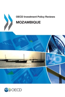 Image for Mozambique 2013