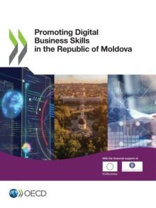 Image for Promoting Digital Business Skills in the Republic of Moldova