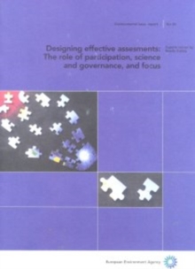 Image for Designing Effective Assessments : The Role of Participation, Science and Governance and Focus