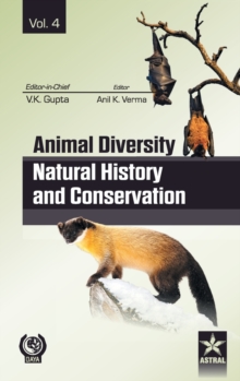 Image for Animal Diversity Natural History and Conservation Vol. 4