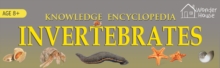 Animals - Invertebrates