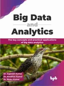 Image for Big Data and Analytics