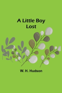 Image for A Little Boy Lost
