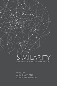 Similarities - A Paradigm for Culture Theory