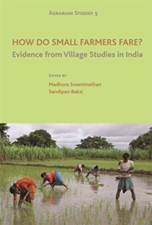 How Do Small Farmers Fare? - Evidence from Village Studies in India