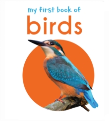 Image for My First Book of Birds