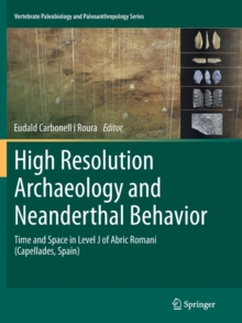 High Resolution Archaeology and Neanderthal Behavior