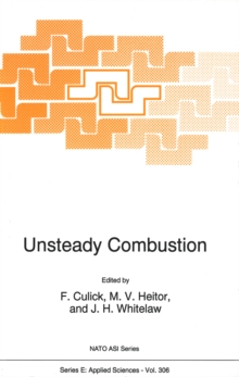 Image for Unsteady Combustion