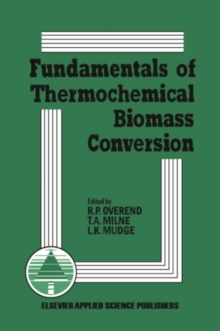 Image for Fundamentals of Thermochemical Biomass Conversion