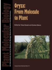 Image for Oryza: From Molecule to Plant