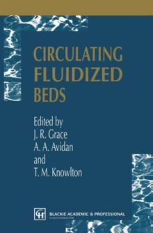 Image for Circulating Fluidized Beds