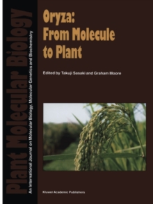 Image for Oryza: from molecule to plant
