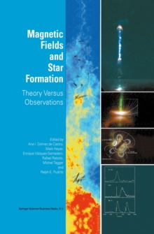 Image for Magnetic fields and star formation: theory versus observations