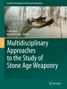 Image for Multidisciplinary approaches to the study of stone age weaponry