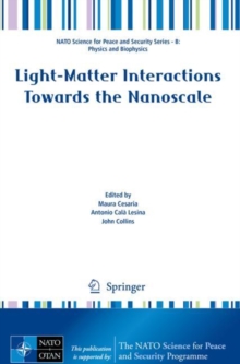 Image for Light-Matter Interactions Towards the Nanoscale