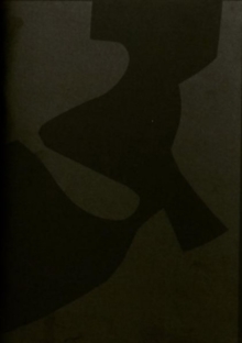 Idiosyncratic Copy Machine