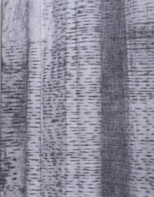 The lasting one, that didn’t last, that still lasts