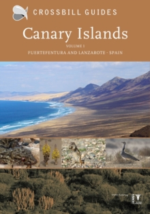 Canary Islands: Fuerteventura and Lanzarote – Spain