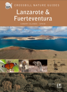 Lanzarote and Fuerteventura: Spain