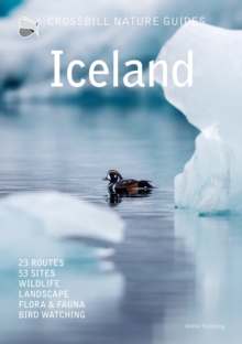 Image for Iceland