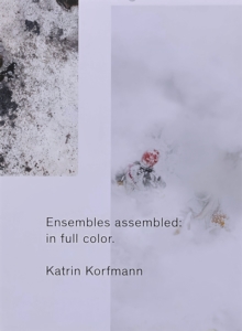 Image for Ensembles Assembled: In Full Color