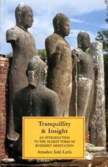 Image for Tranquility and Insight : Introduction to the Oldest Form of Buddhist Meditation