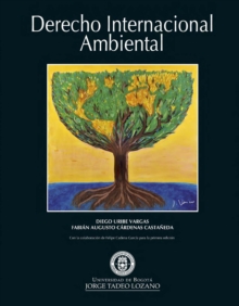 Image for Derecho Internacional Ambiental