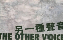 Other Voice