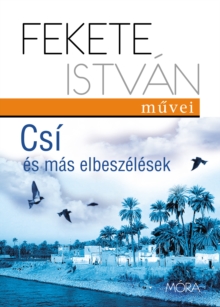 Image for Csi Es Mas Elbeszelesek
