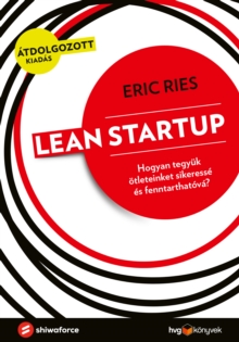 Image for Lean startup